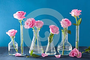 Pink rose flowers in chemical flasks over blue