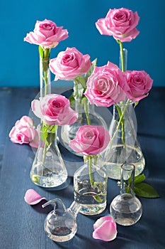 Pink rose flowers in chemical flasks over blue