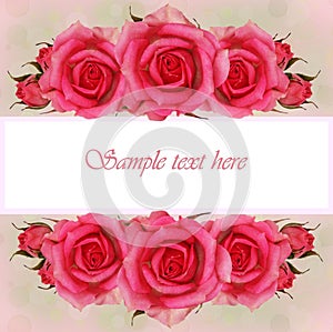 Pink rose flowers composition for greeting card