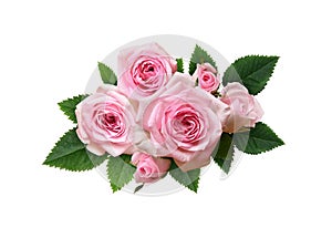 Pink rose flowers with green leaves in a floral arrangement isolated