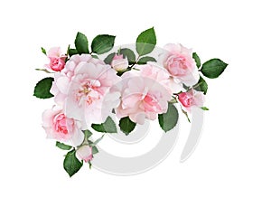 Pink rose flowers and green leaves in a floral corner arrangement