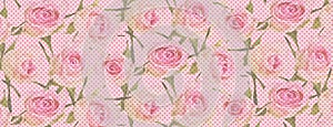 Pink rose flowers and green leaves with polka dot