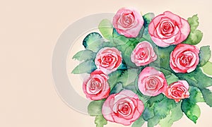 pink rose flowes background There are small green leaves