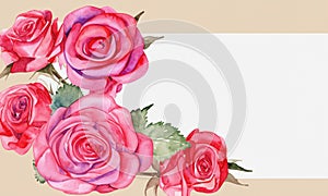 pink rose flowes background There are small green leaves