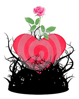 Pink rose growed up through red heart in thorn trees