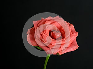 Pink rose with heart shape gem inside