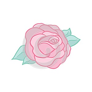 Pink rose. Isolated bouquet garden flower on white background. Vintage vector illustration art