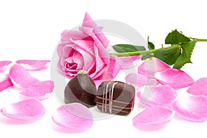 Pink rose leaves with chocolate bonbons