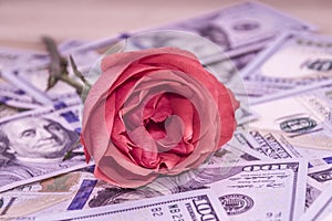 Pink rose lies on top of the dollars.