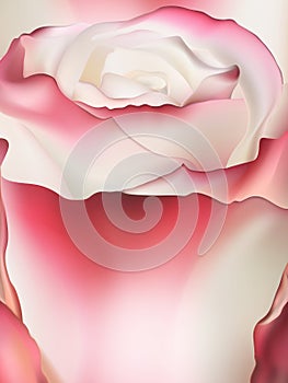 Pink rose macro. EPS 10