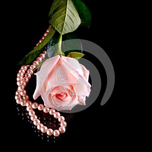 Pink rose and pearl beads.