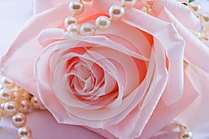 Pink rose and pearl necklace