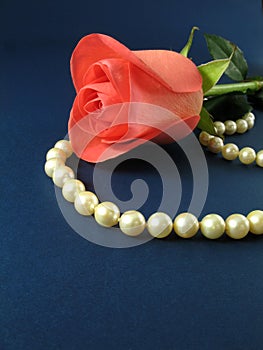 Pink rose and pearls