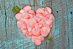 Pink rose petal heart with fern leaf