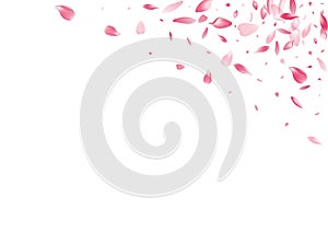 Pink Rose Petal Vector White Background. Color Romantic Lotus Petal Illustration. Peach Petal Japan Congratulation. Falling Apple