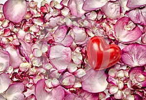 Pink rose petals background with heart