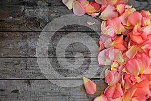 Pink rose petals on background of old wooden surface. Copy space