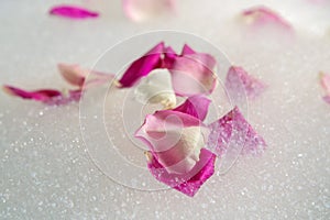 Pink rose petals in the bubble