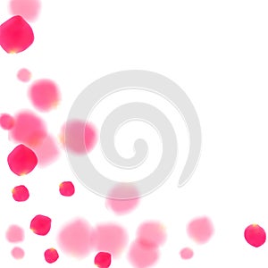 Pink rose petals falling vector valentine background.