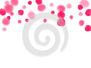 Pink rose petals falling vector valentine background.