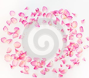 A frame on white background with pink rose petals and sugar star