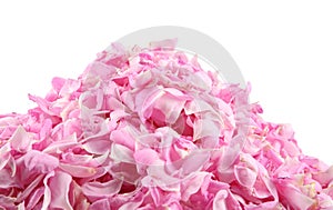 Pink rose petals pile photo