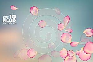 Pink rose petals in soft color. blur style vector background