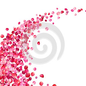 pink rose petals vortex