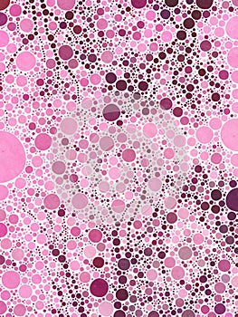 Pink Rose Polka Dot Patterned Background Graphic Design Pattern or Wallpaper