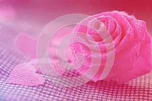 Pink rose and small hart on blue cloth background for Valentine