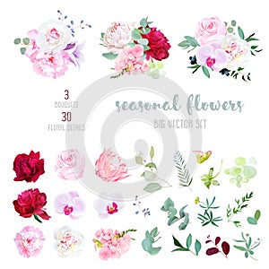 Pink rose, white and burgundy red peony, protea, violet orchid, hydrangea, campanula flowers