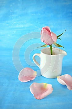 Pink rose in a white ceramic jug