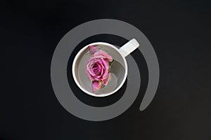 Pink rose in a white cup on black background