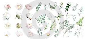 Pink rose, white peony, magnolia, blush pink ranunculus, eucalyptus, hellebore, orchid, greenery vector design spring