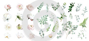 Pink rose, white peony, magnolia, blush pink ranunculus, eucalyptus, hellebore, orchid, greenery vector design spring photo