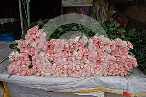 Pink rose in the whole sale flower market.