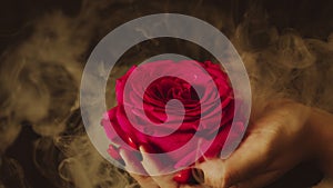 Pink rose in woman& x27;s hand with manicure on black background with dissipating steam.
