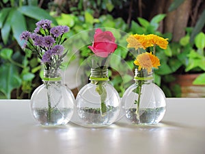 Pink rose, yellow chrysanthemum and Purple Margaret flower in bottles vases