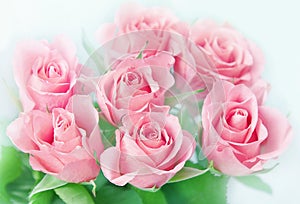 Pink roses.