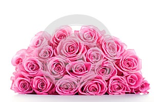 Pink roses