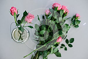 Pink roses