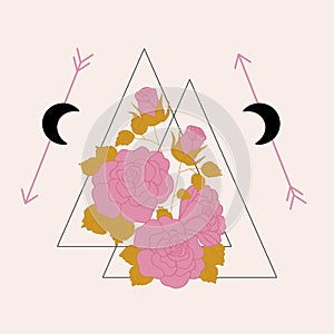 Pink roses and arrows in a geometric illustration