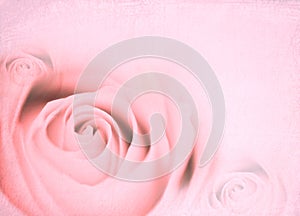 Pink roses background