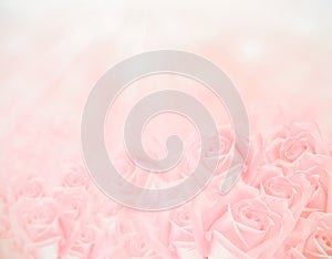 Pink roses background