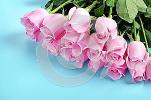 Pink roses on a blue background March 8 concept - International Women`s Day, Happy Mother`s Day, Easter