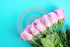 Pink roses on a blue background March 8 concept - International Women`s Day, Happy Mother`s Day, Easter