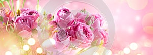 Pink Roses bouquet, blooming roses. Rose flowers bunch art design, nature. Holiday gift, Bunch of roses flower