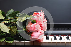 Pink roses bouquet on digital piano keys