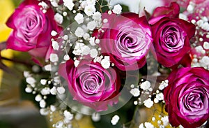 Pink roses in bouquet. Romance gift. Flowers