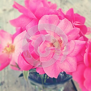 Pink roses bouquet of roses in vase